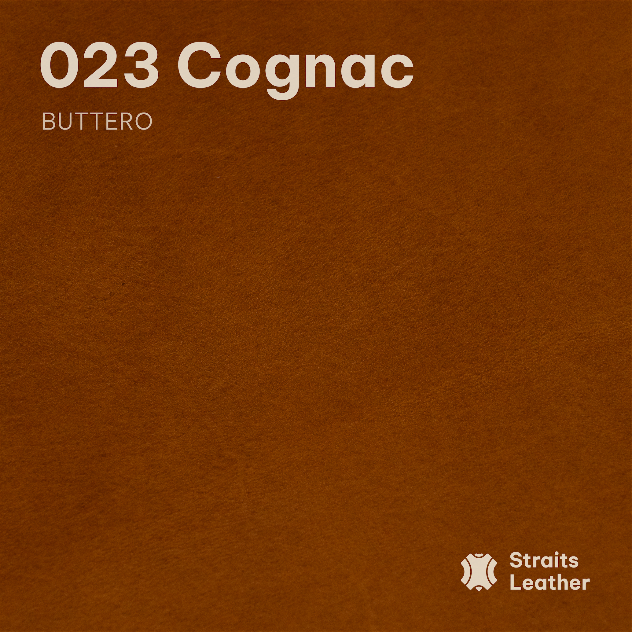 Walpier - Buttero (Shoulder)