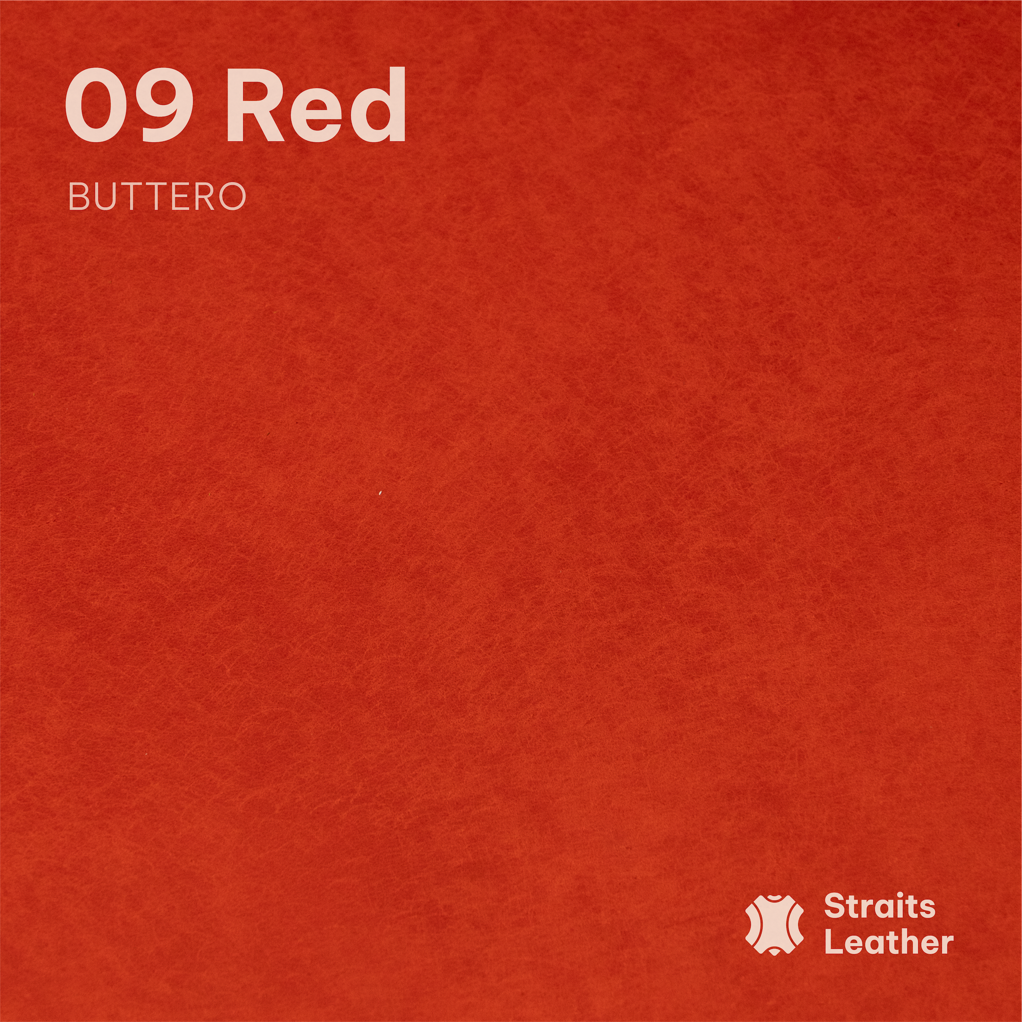 Walpier - Buttero (Belly)