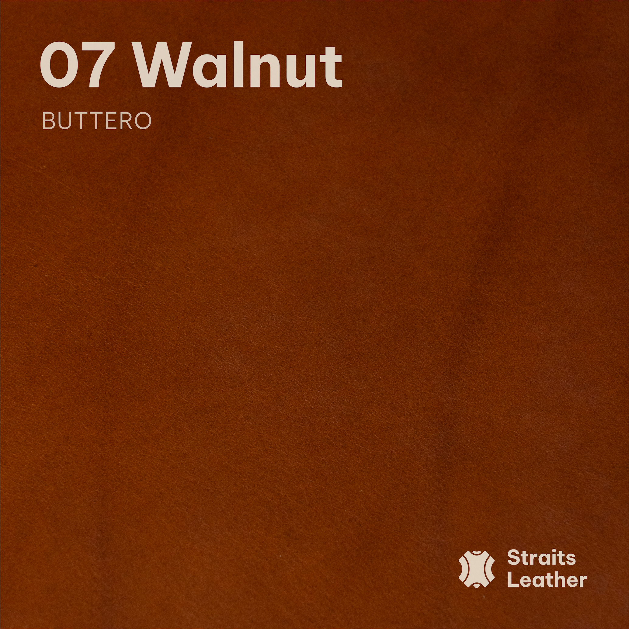 Walpier - Buttero (Belly)