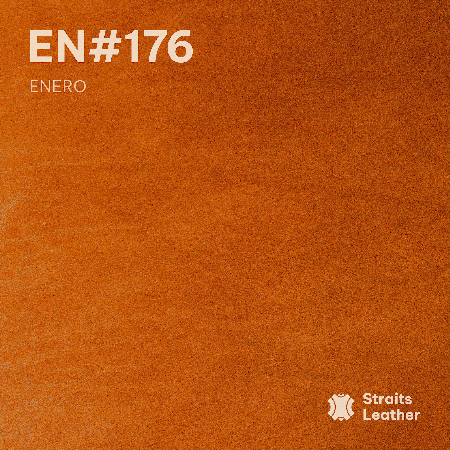 Enero - Japan