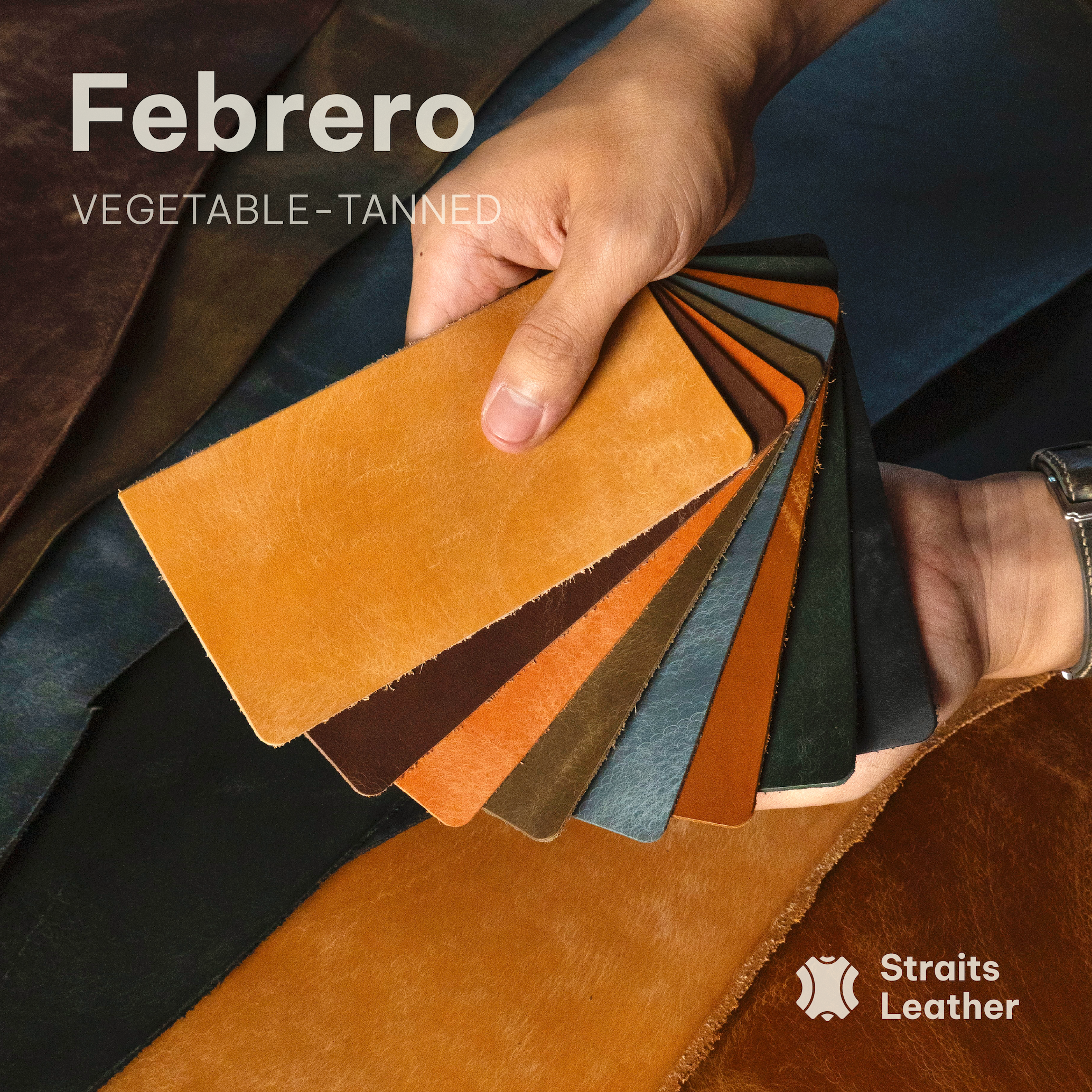 Febrero - Japan