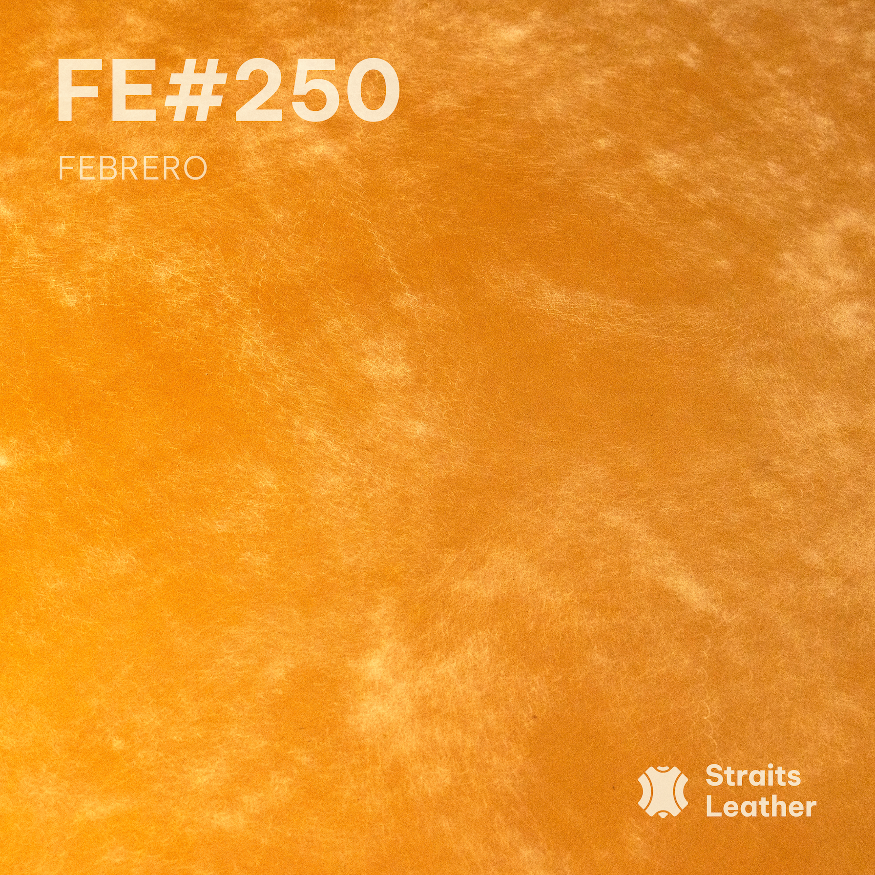 Febrero - Japan