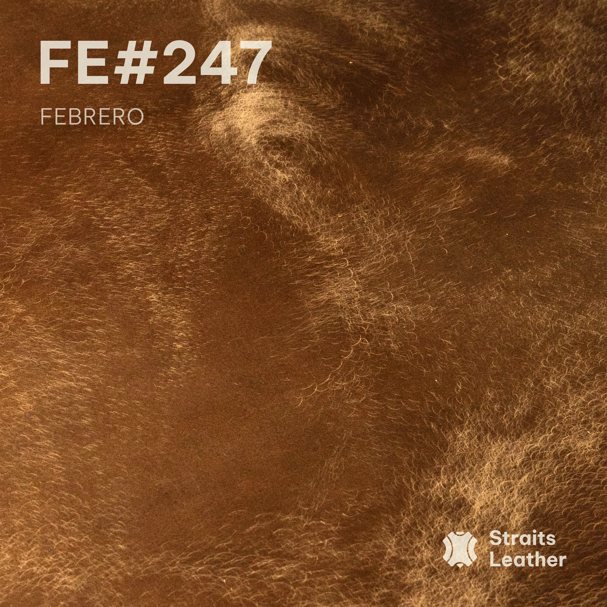 Febrero - Japan