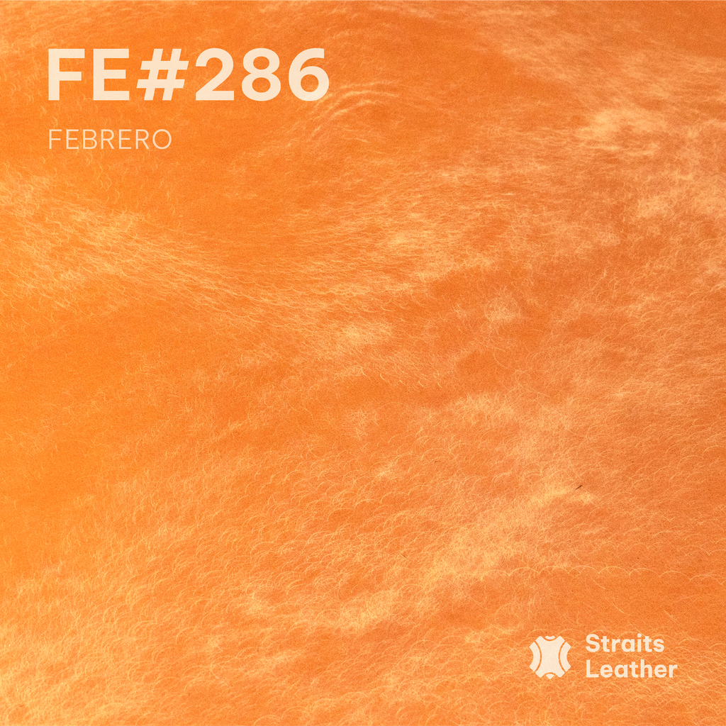 Febrero - Japan