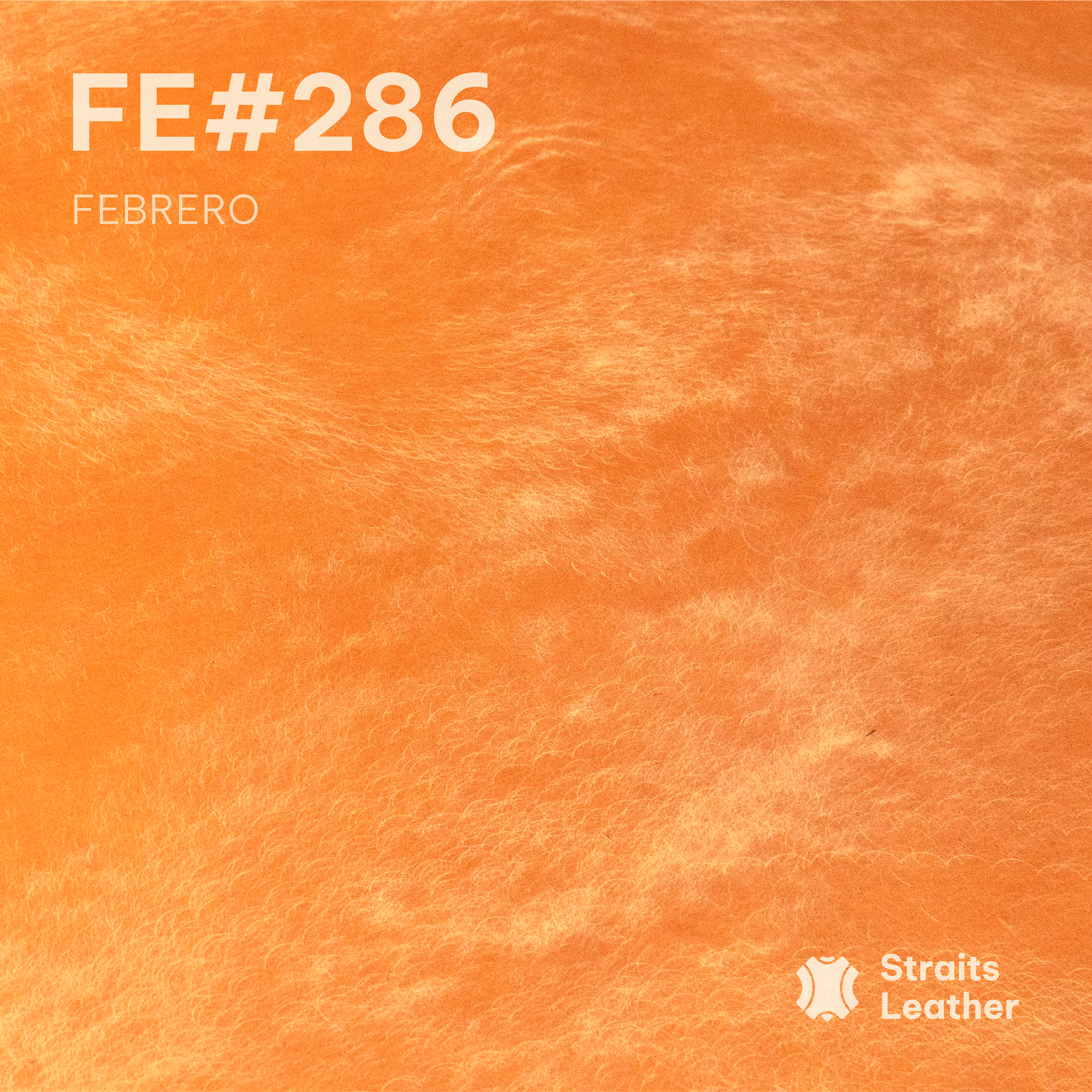 Febrero - Japan