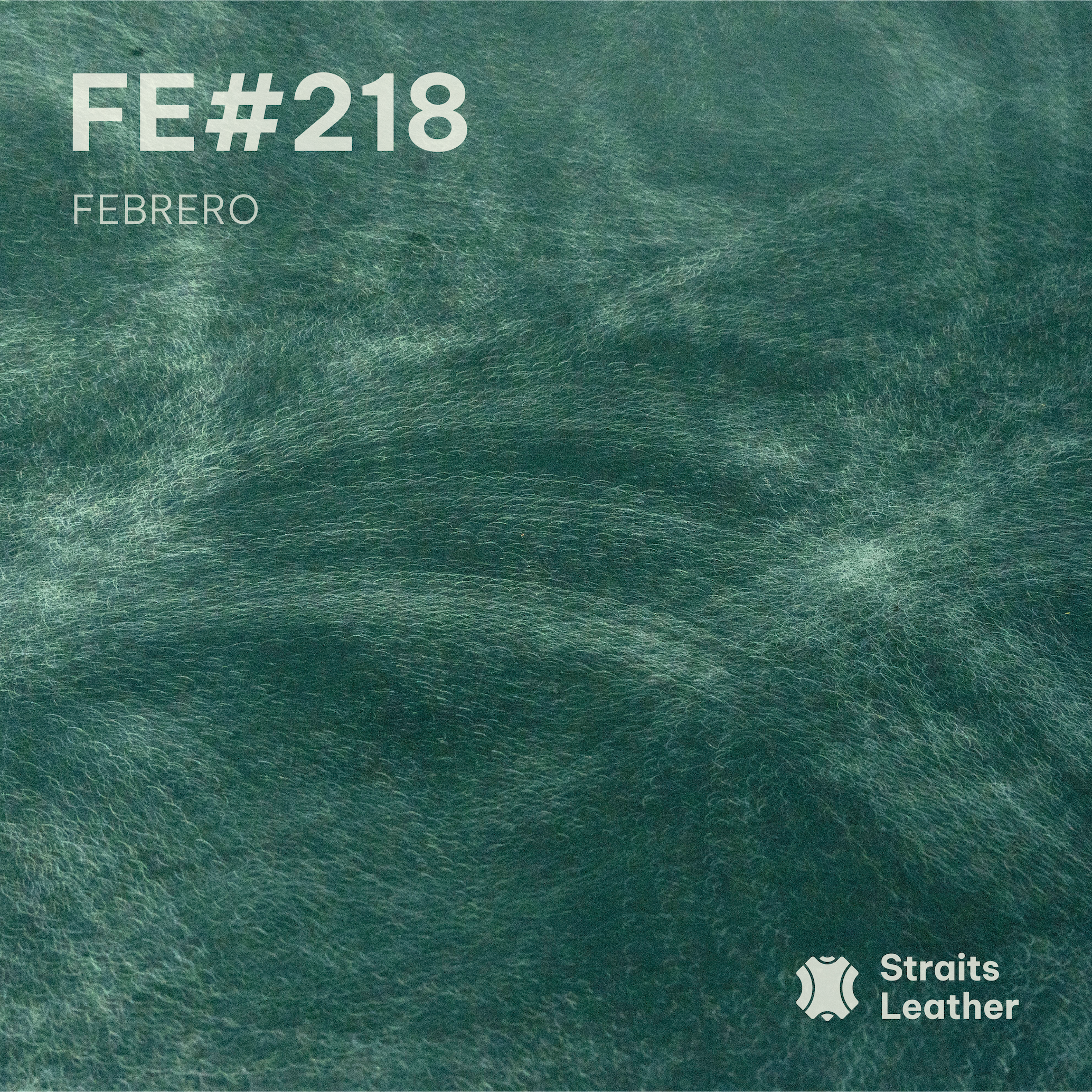 Febrero - Japan