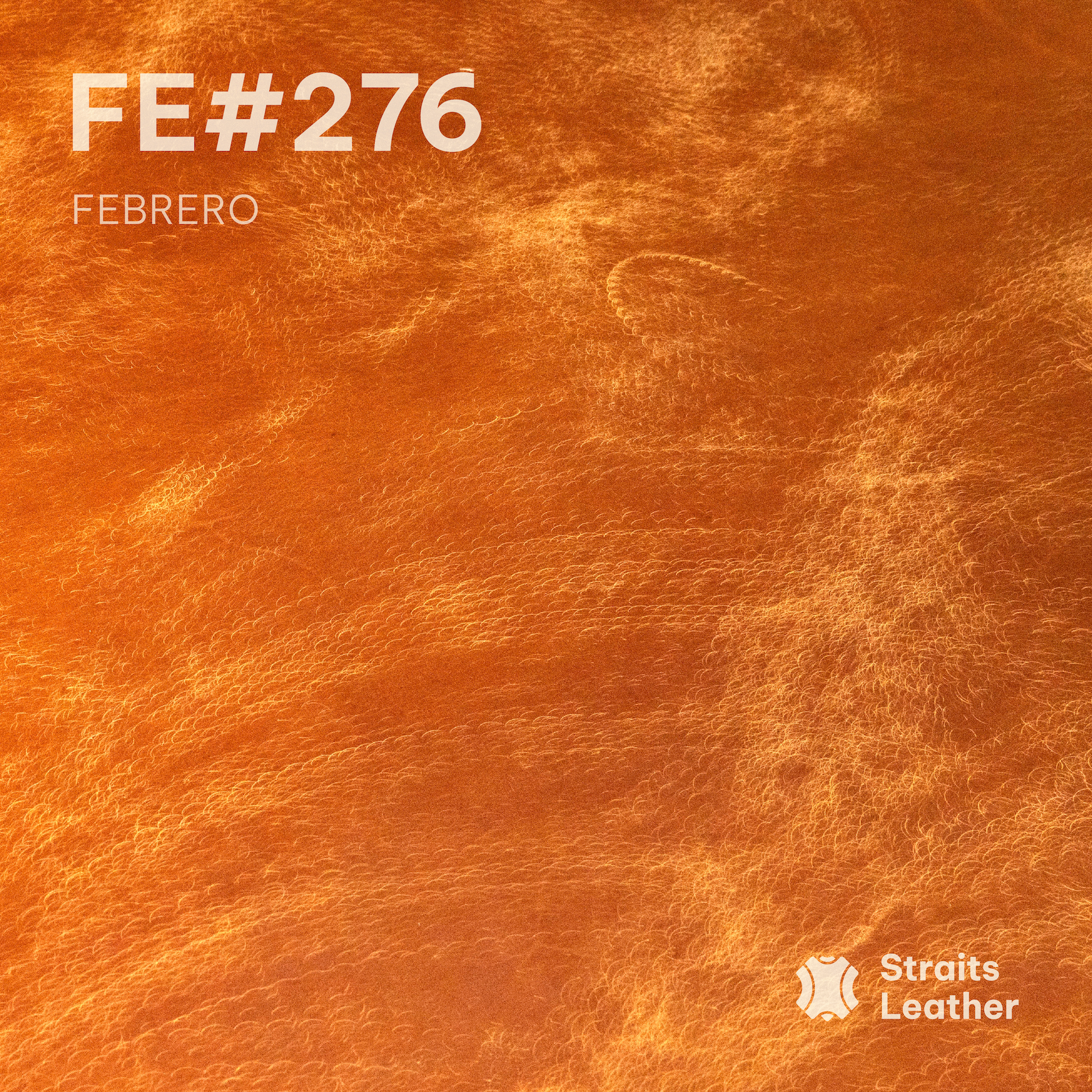 Febrero - Japan