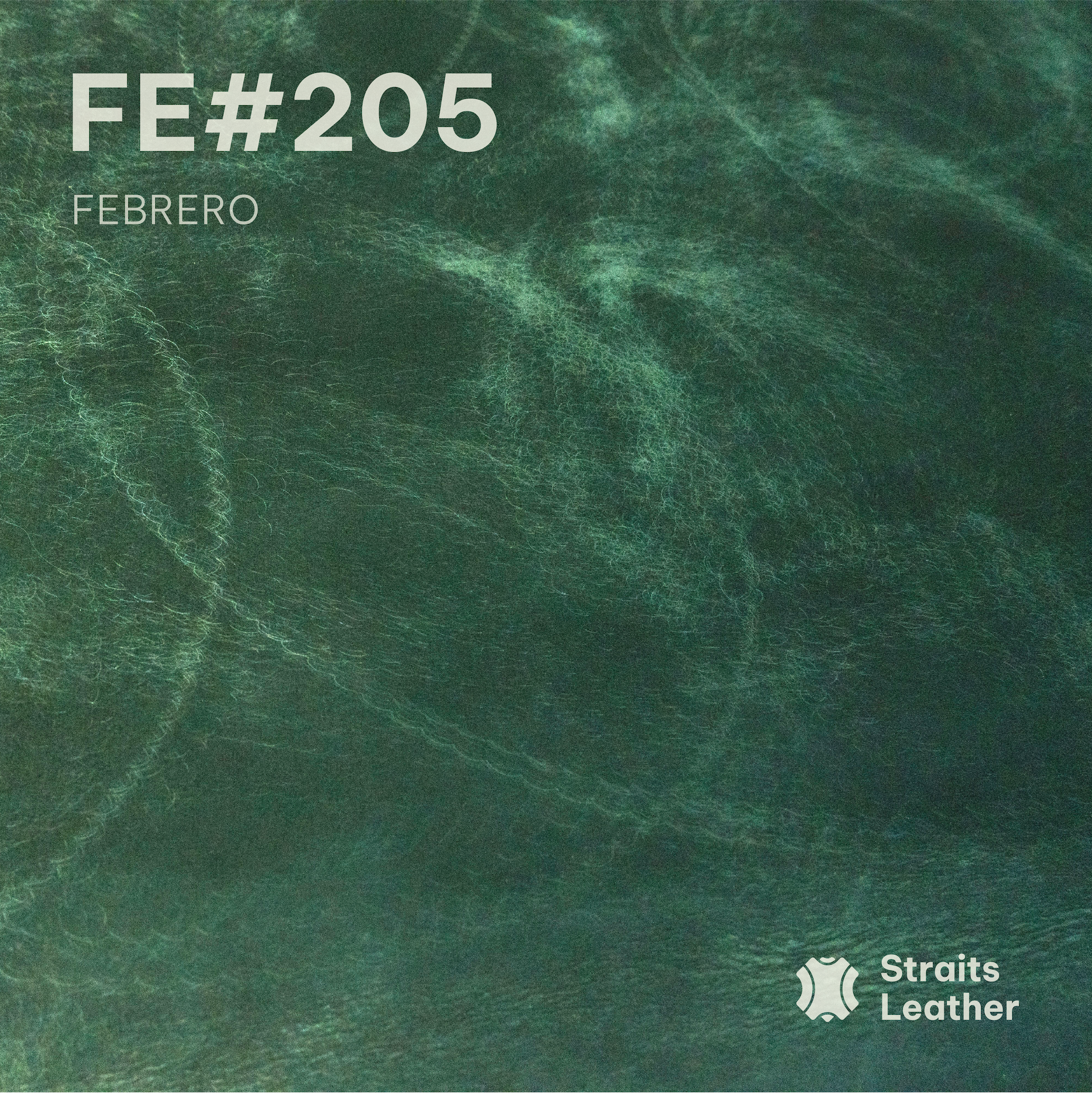 Febrero - Japan