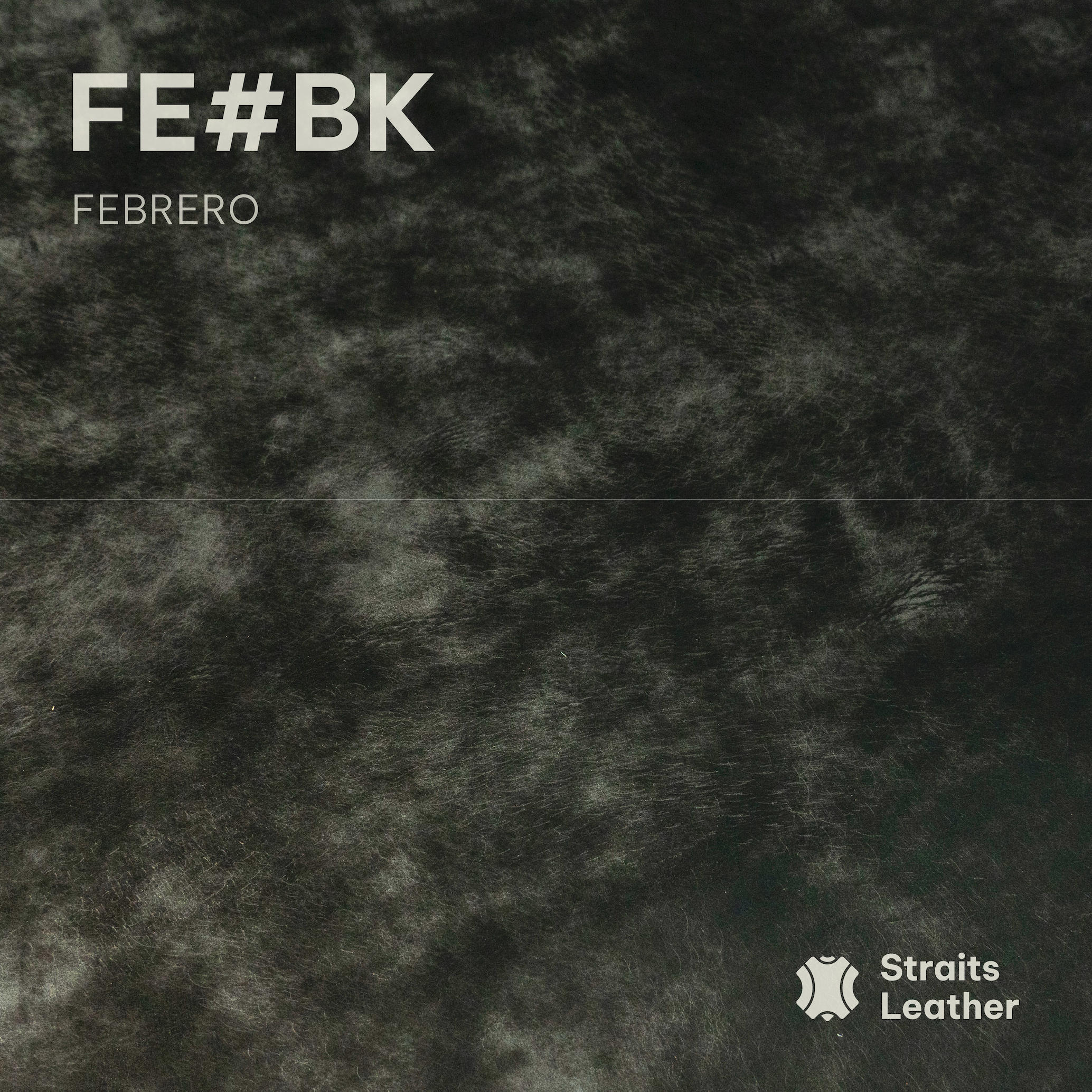 Febrero - Japan
