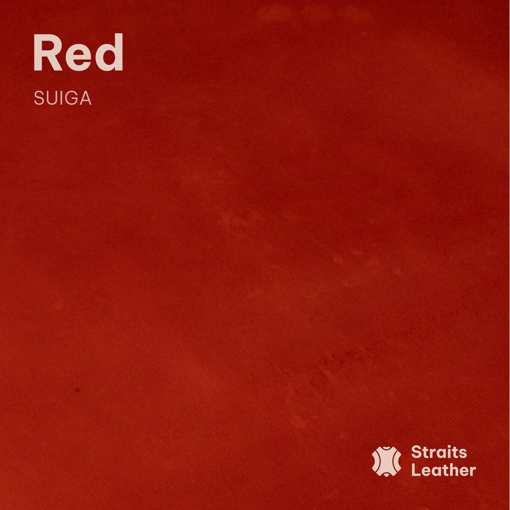 Suiga (Buffalo)