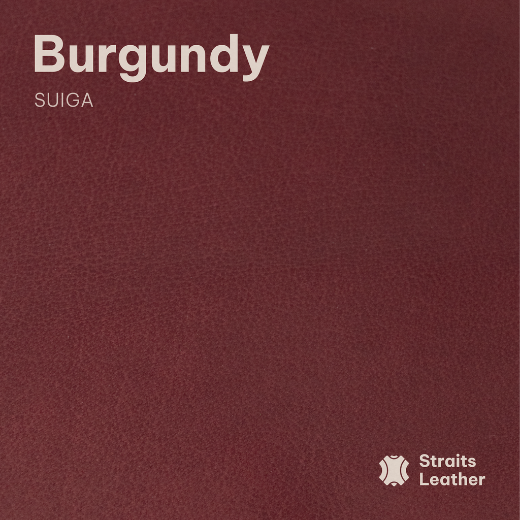 Suiga (Buffalo)