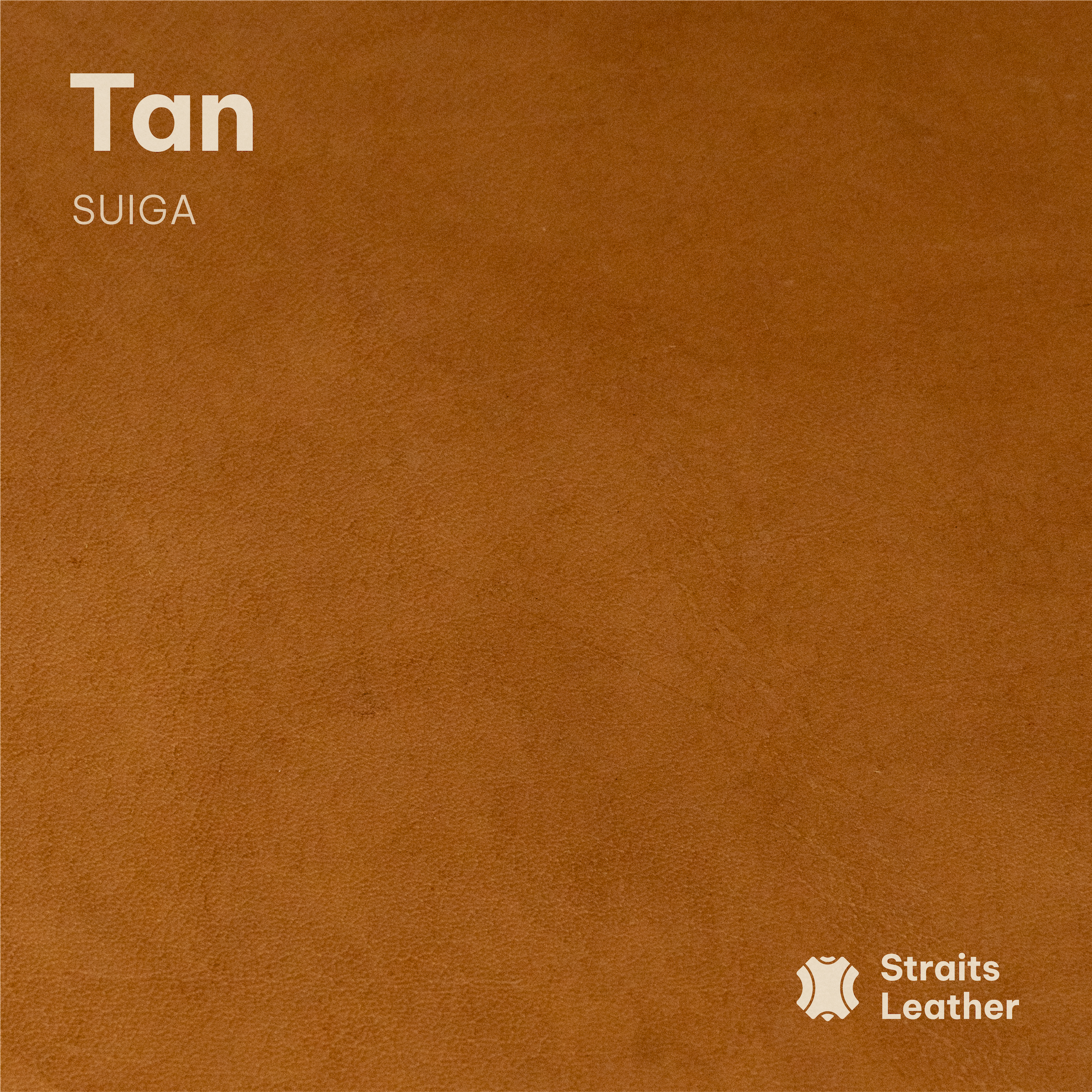 Suiga (Buffalo)