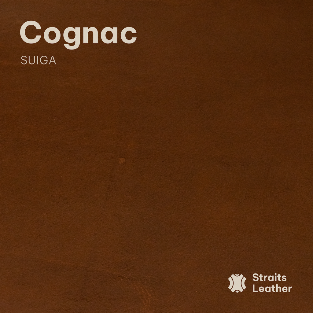 Suiga (Buffalo)