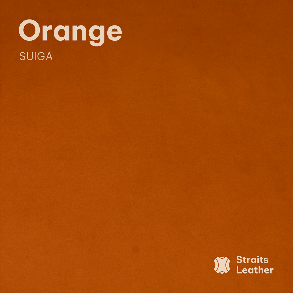 Suiga (Buffalo)